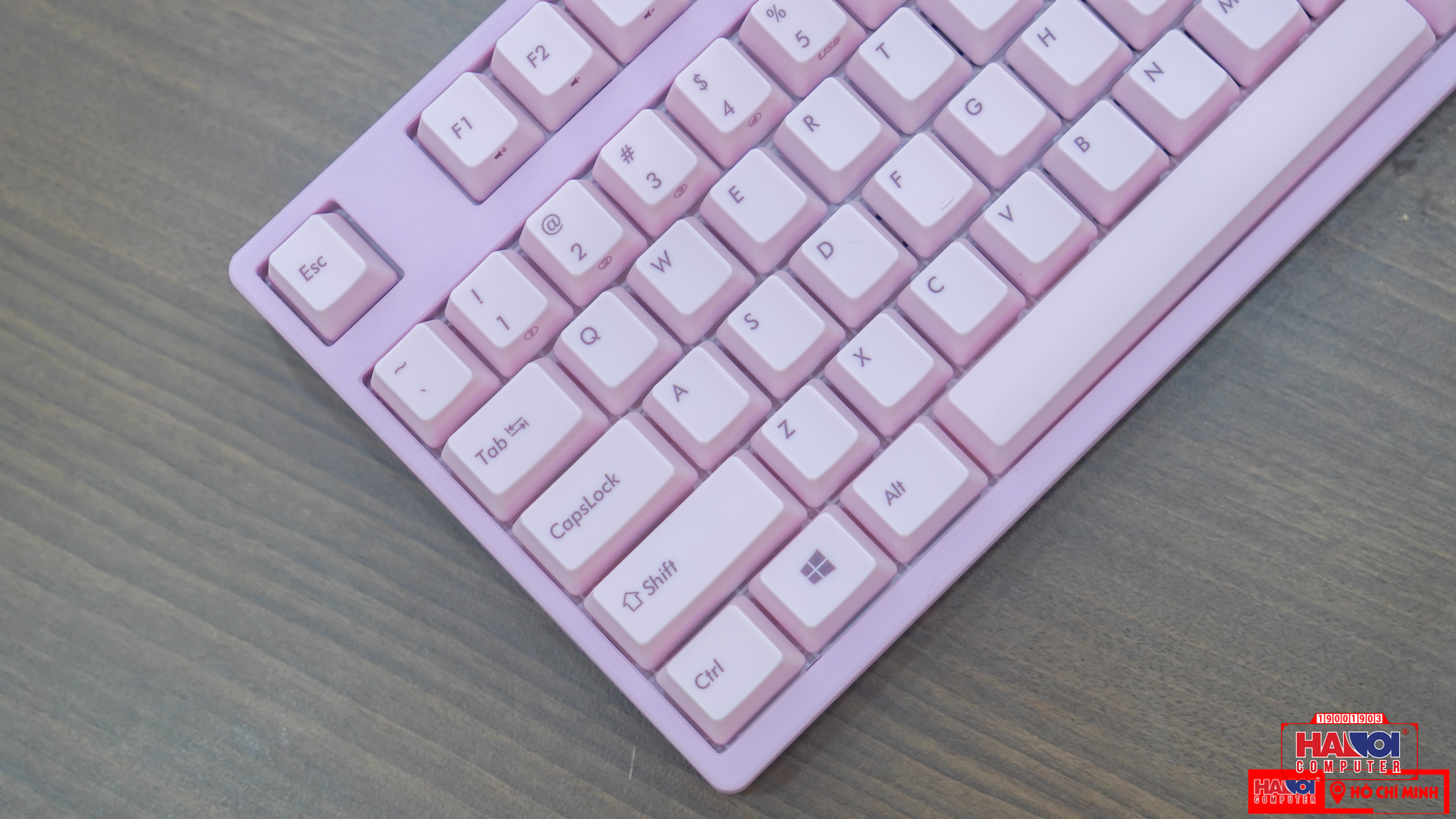 Bàn phím cơ Filco Majestouch Convertible 2 Pink